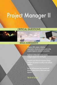 Project Manager II Critical Questions Skills Assessment