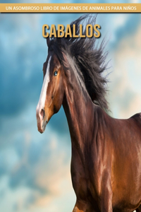 Caballos