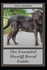 The Essential Mastiff Breed Guide