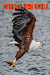 African Fish Eagle