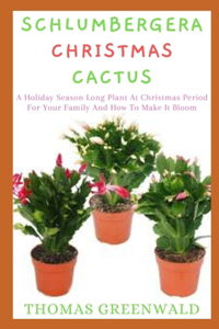 Schlumbergera Christmas Cactus