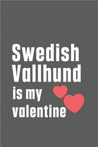 Swedish Vallhund is my valentine