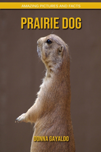 Prairie Dog