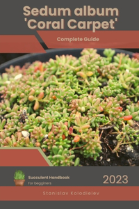 Sedum album 'Coral Carpet'