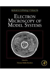 Electron Microscopy of Model Systems