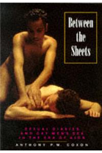 Between the Sheets: Sexual Diaries and Gay Men's Sex in the Era of AIDS