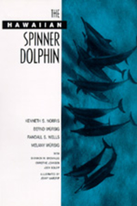 Hawaiian Spinner Dolphin