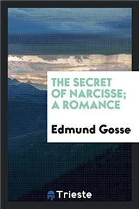 The secret of Narcisse; a romance