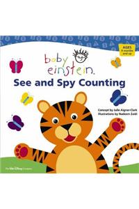 Baby Einstein See and Spy Counting