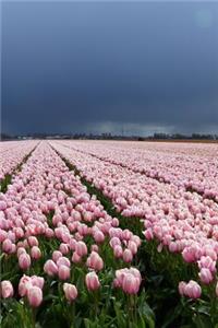 Netherlands notebooks - achieve your goals, perfect 120 lined pages #6