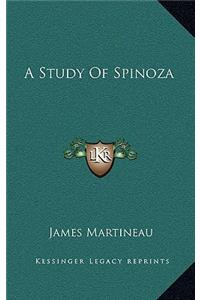 Study Of Spinoza