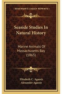 Seaside Studies In Natural History