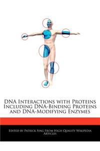 DNA Interactions with Proteins Including Dna-Binding Proteins and Dna-Modifying Enzymes