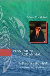 Plant, Stone, and Animal