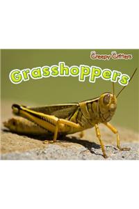 Grasshoppers