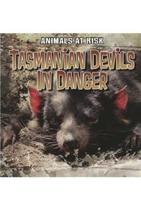 Tasmanian Devils in Danger