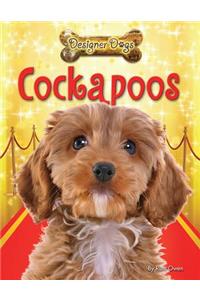 Cockapoos