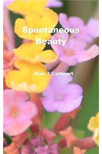 Spontaneous Beauty