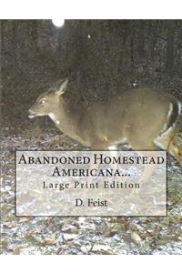 Abandoned Homestead Americana...