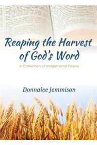 Reaping the Harvest of God's Word