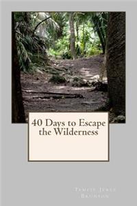 40 Days to Escape the Wilderness