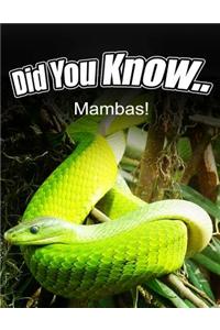 Mambas