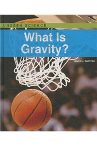 What Is Gravity?