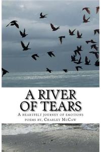 A River of Tears: A Heartfelt Journey of Emotions