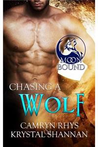 Chasing a Wolf