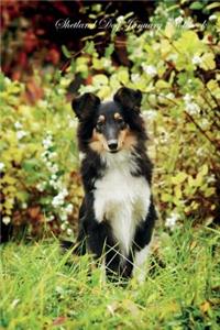 Shetland Dog January Notebook Shetland Dog Record, Log, Diary, Special Memories, To Do List, Academic Notepad, Scrapbook & More