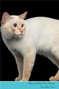 Mekong Bobtail Cat Presents