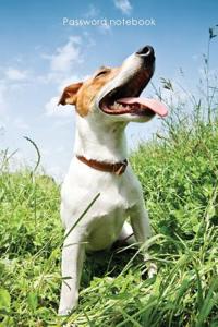 Password Notebook: Medium-Size Internet Address and Password Logbook / Journal / Diary - Jack Russell Terrier Cover