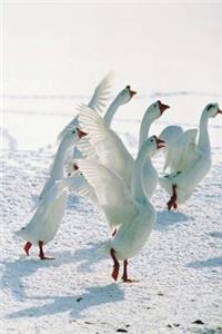 Journal Geese Flapping Wings Snow