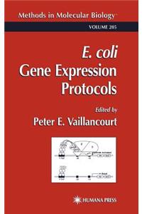 E. Coli Gene Expression Protocols