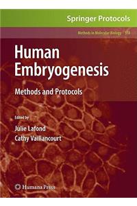 Human Embryogenesis