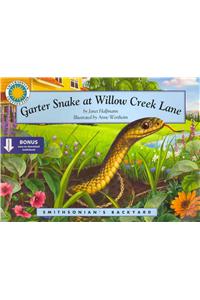 Garter Snake at Willow Creek Lane