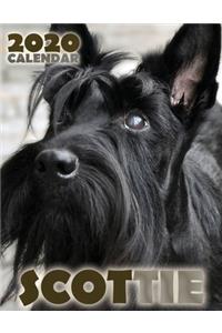 Scottie 2020 Calendar
