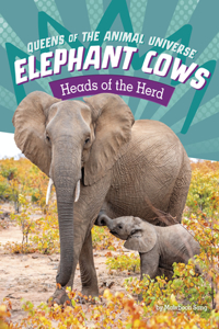 Elephant Cows - Heads of the Herd