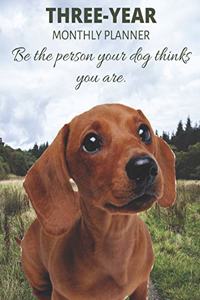 Three Year Monthly Planner Starting 2020 Agenda with Weekly Plan Space - Best Gift For Dog Owner - Funny Dachshund Appointment Book for 2021 & 2022