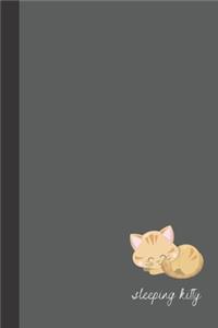 sleeping kitty