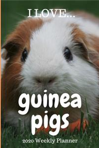 2020 I Love Guinea Pigs Weekly Planner