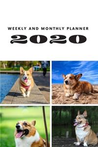 Weekly and Monthly Planner 2020