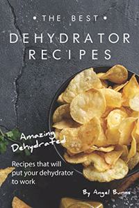 Best Dehydrator Recipes