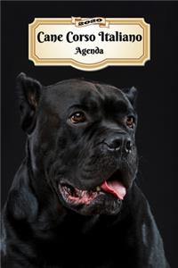 2020 Cane Corso Italiano Agenda