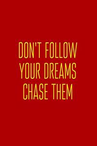 Don't Follow Your Dreams Chase Them!