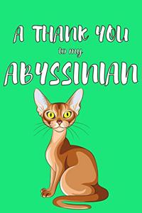 A Thank You To My Abyssian