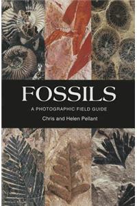 Fossils: A Photographic Field Guide