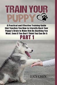 Train your Puppy