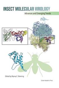 Insect Molecular Virology