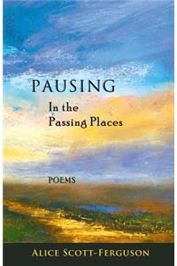 Pausing in the Passing Places